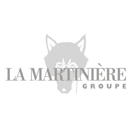 Logo LA MARTINIÈRE GROUPE